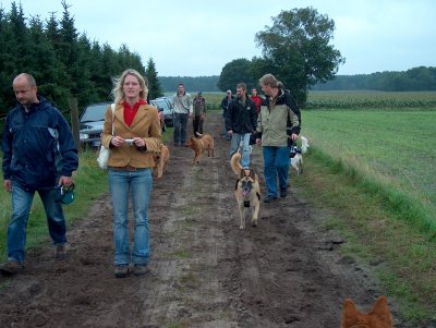 Spaziergang in der Heide mit 11 Htehunden